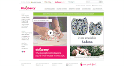 Desktop Screenshot of blueberrydiapers.com