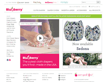 Tablet Screenshot of blueberrydiapers.com